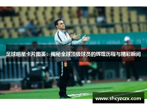 足球明星卡片图鉴：揭秘全球顶级球员的辉煌历程与精彩瞬间