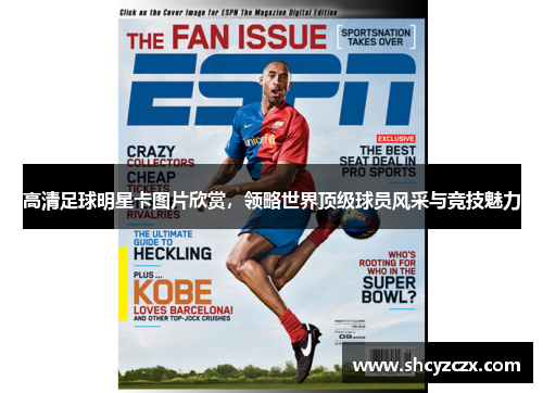 高清足球明星卡图片欣赏，领略世界顶级球员风采与竞技魅力