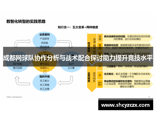 成都网球队协作分析与战术配合探讨助力提升竞技水平