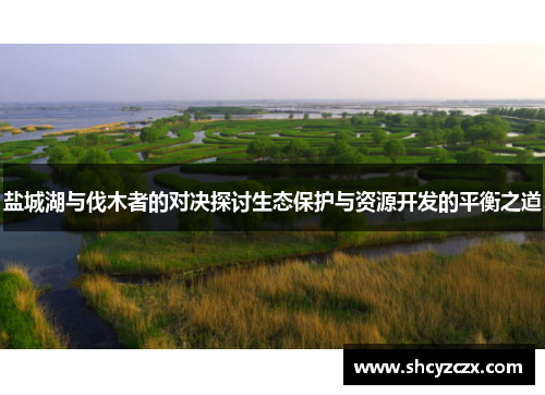 盐城湖与伐木者的对决探讨生态保护与资源开发的平衡之道